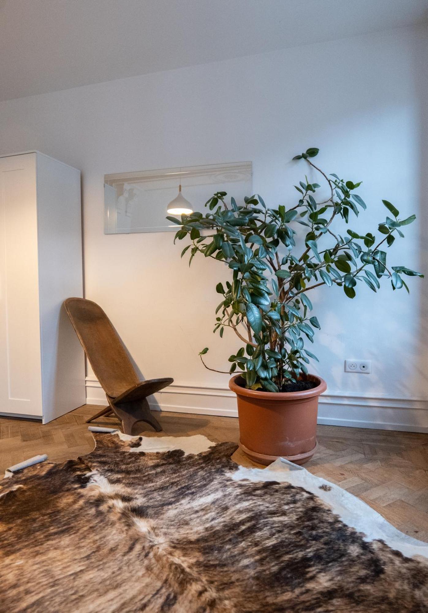 Les Appartements Rue Des Veaux - Quartier Cathedrale Estrasburgo Exterior foto